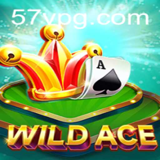 WildAce: An Exciting Journey into the Game Universe
